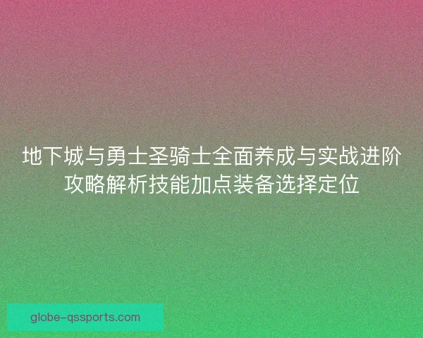 地下城与勇士圣骑士全面养成与实战进阶攻略解析技能加点装备选择定位